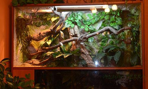 Oświetlone terrarium