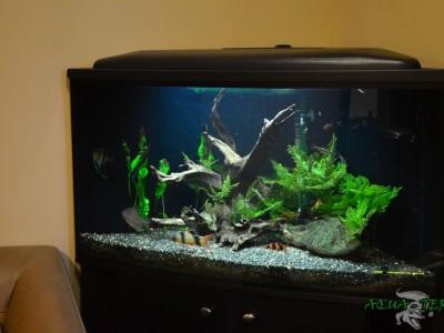 akwarium narożne 01