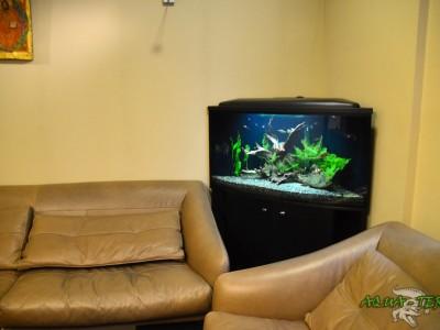 akwarium narożne 02