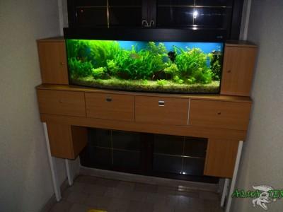 akwarium panoramiczne 01