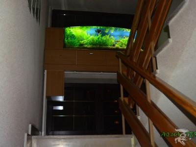 akwarium panoramiczne 02