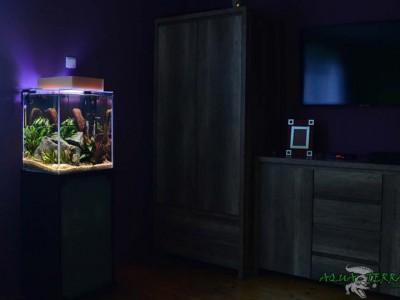 akwarium słodkowodne kostka 01