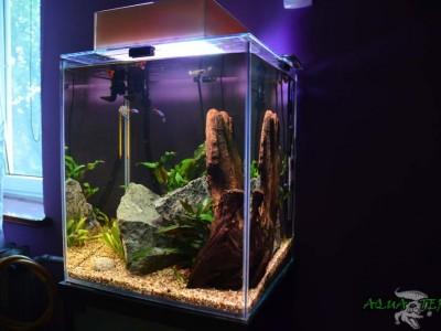 akwarium słodkowodne kostka 03