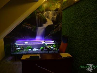 akwarium w biurze 01