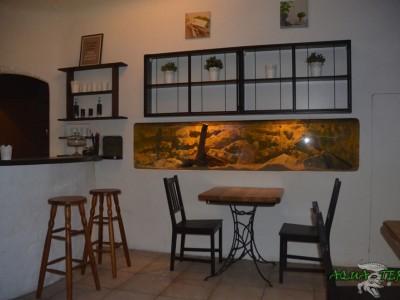 terrarium w ścianie 01